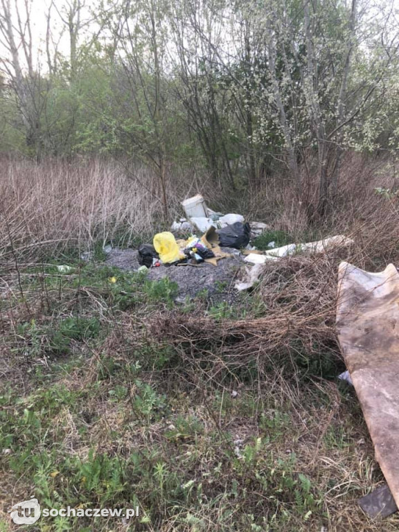 Na spacerze w Topołowej