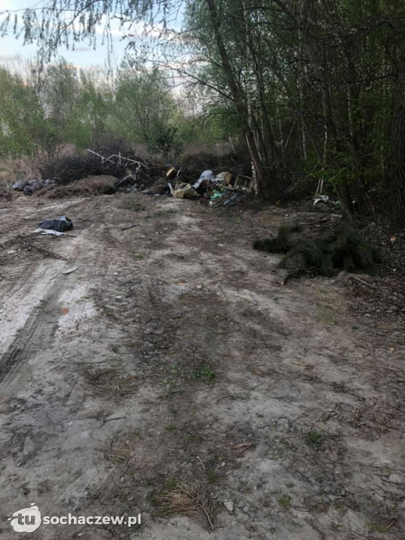 Na spacerze w Topołowej