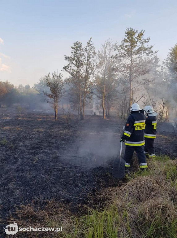 Pożar w Lasocinie