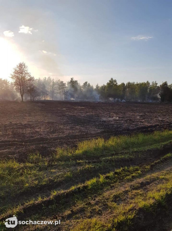 Pożar w Lasocinie