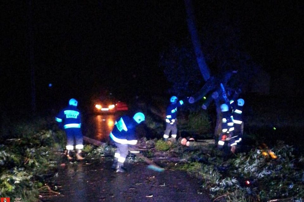 Skutki nocnej burzy. Ucierpiała północna cześć powiatu