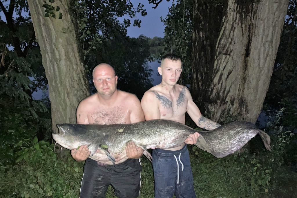 Ogromny sum z Wisły. Zdjęcia robią wrażenie