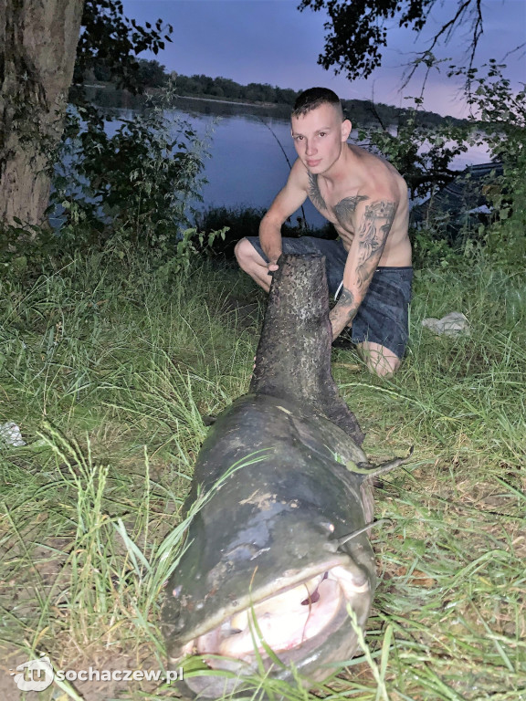 Ogromny sum z Wisły. Zdjęcia robią wrażenie