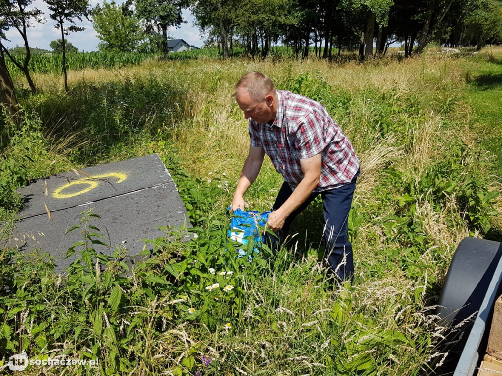 200 bażantów wypuszczonych na wolność w gminie Teresin