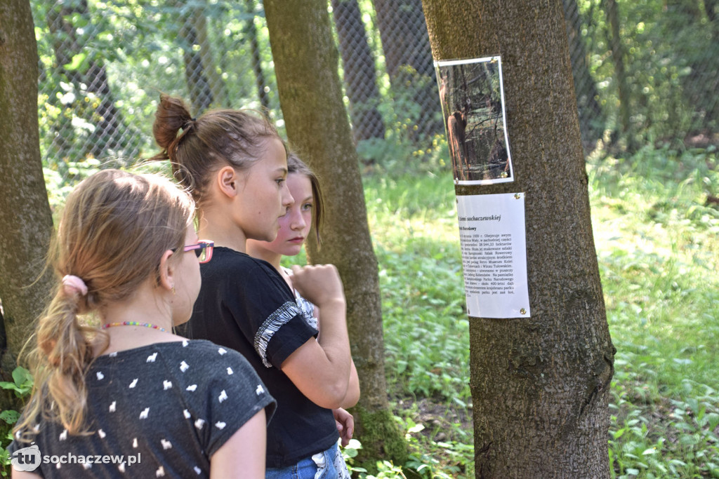 Wakacje z Wąskotorówką 2020 . Program zajęć