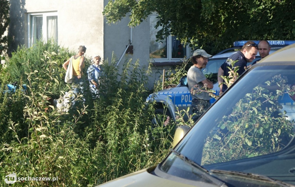 Duża akcja policji w Sannikach. Skrajnie wyczerpane psy, zakopane szczeniaki i nielegalna broń
