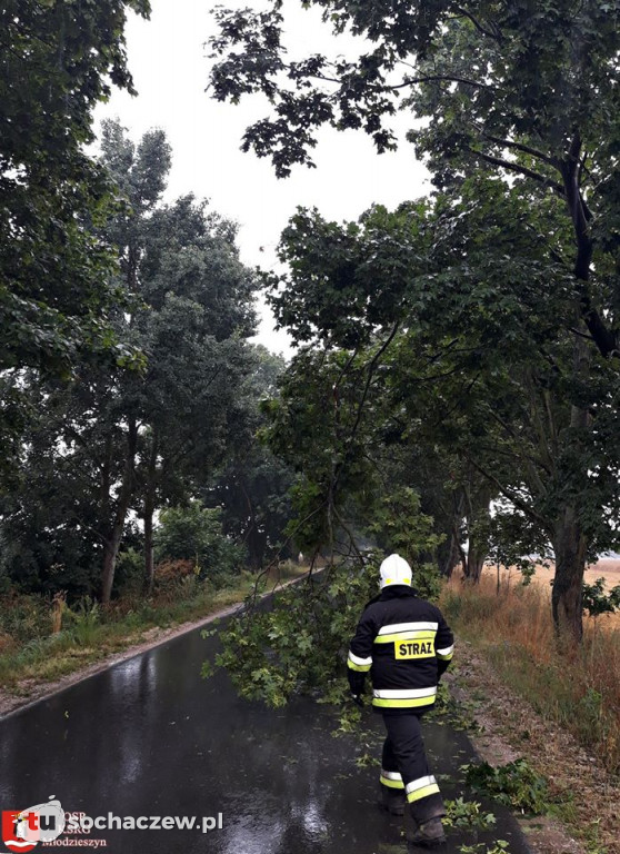 Karetka ugrzęzła w piachu. Na pomoc ruszyli strażacy