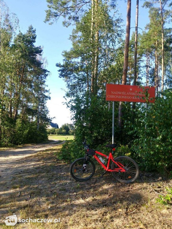 Biegiem lub rowerem, z przerwą na zdjęcia