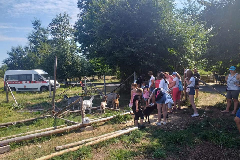 Lokalnie jest fajnie! W gminie Brochów FOTORELACJA