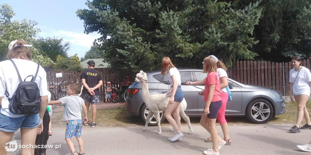 Lokalnie jest fajnie! W gminie Brochów FOTORELACJA