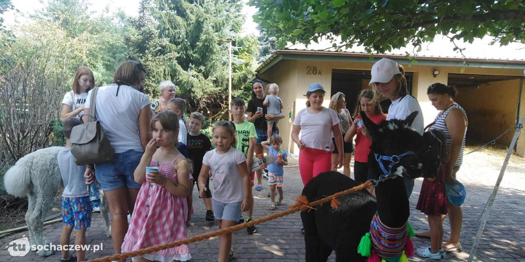 Lokalnie jest fajnie! W gminie Brochów FOTORELACJA