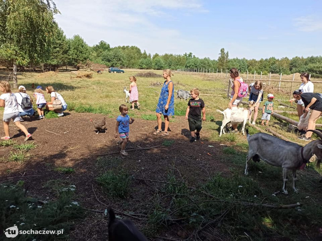 Lokalnie jest fajnie! W gminie Brochów FOTORELACJA