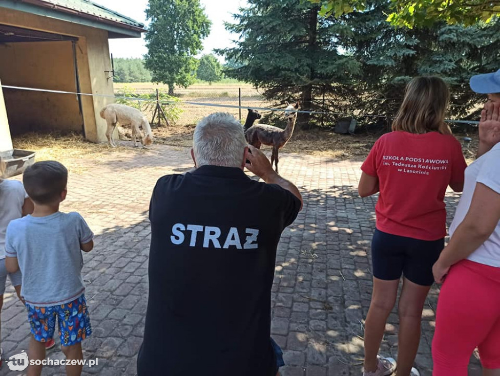 Lokalnie jest fajnie! W gminie Brochów FOTORELACJA