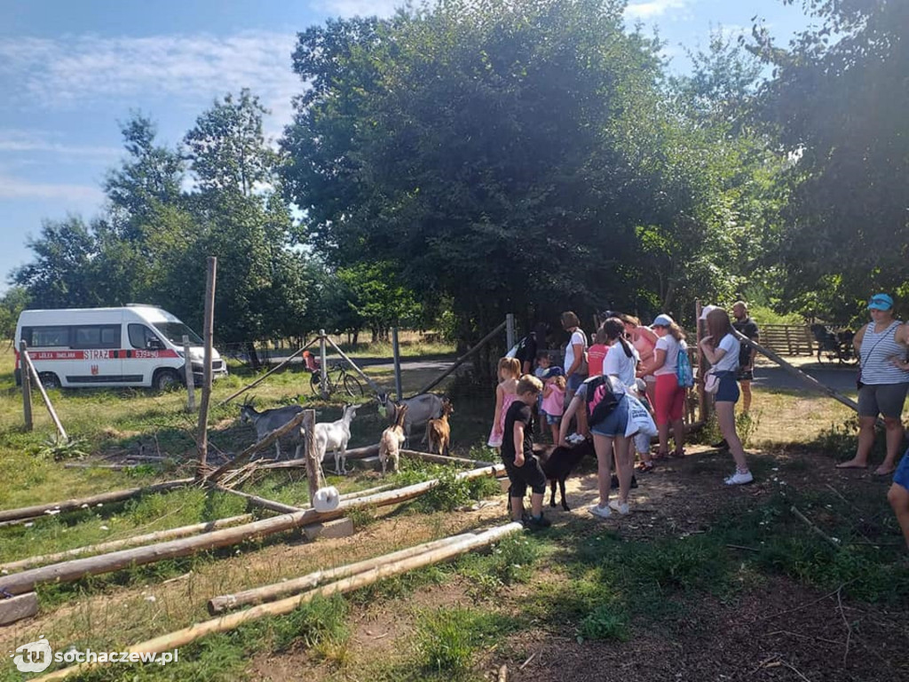 Lokalnie jest fajnie! W gminie Brochów FOTORELACJA