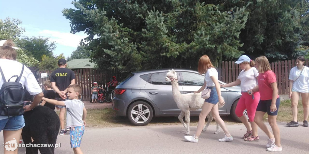 Lokalnie jest fajnie! W gminie Brochów FOTORELACJA