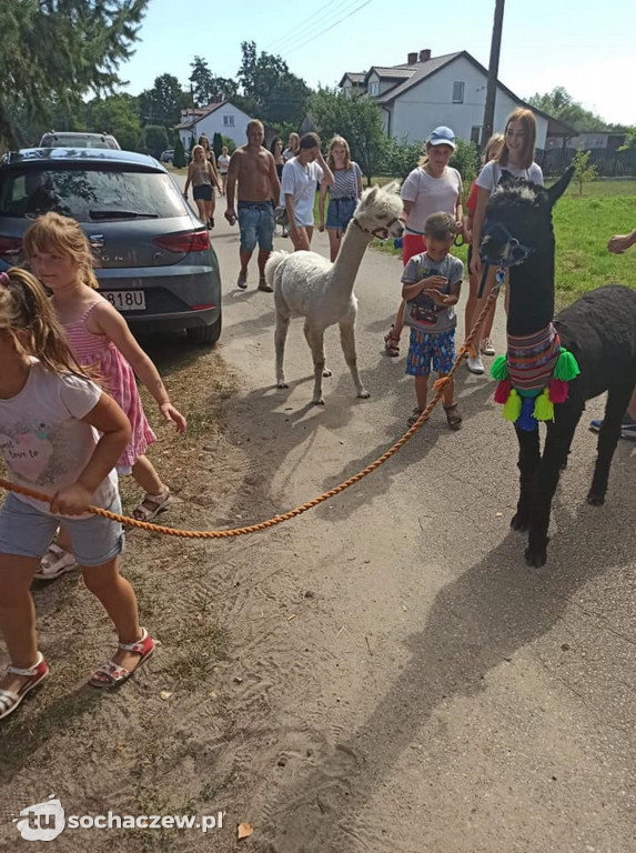 Lokalnie jest fajnie! W gminie Brochów FOTORELACJA