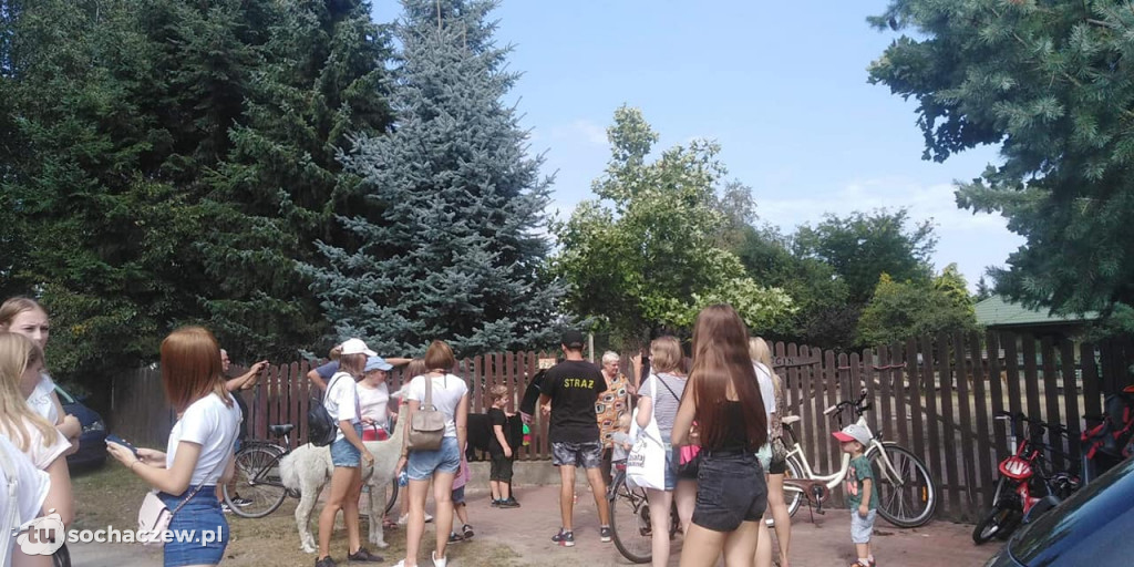 Lokalnie jest fajnie! W gminie Brochów FOTORELACJA