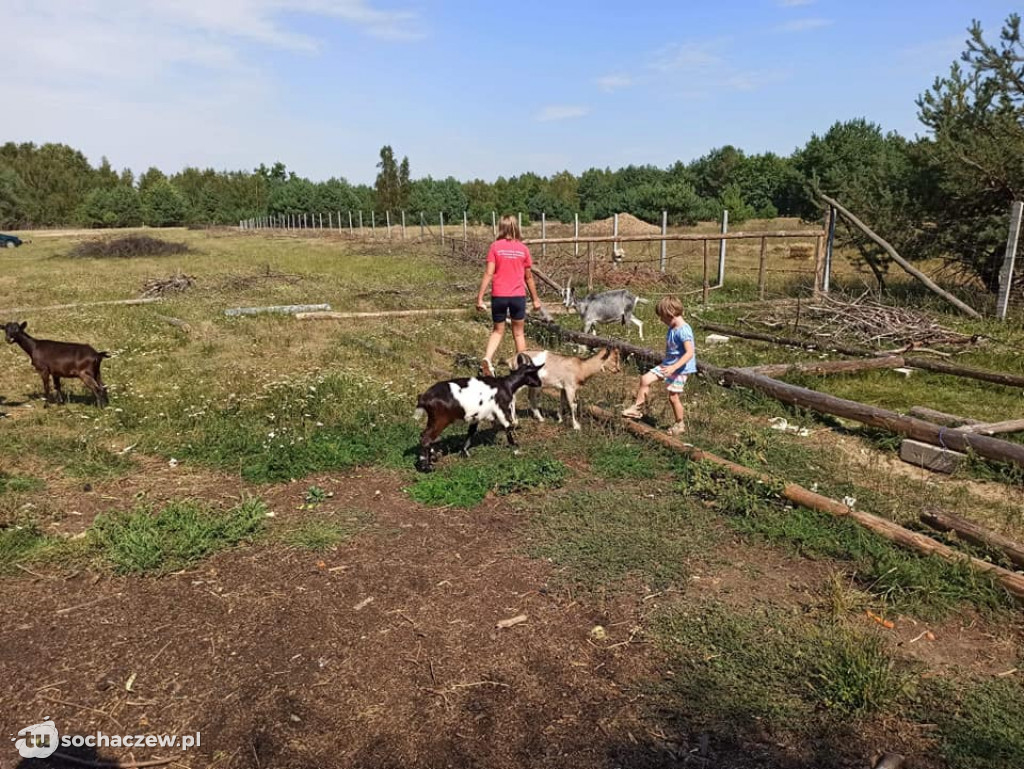 Lokalnie jest fajnie! W gminie Brochów FOTORELACJA