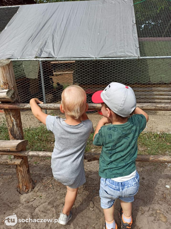 Lokalnie jest fajnie! W gminie Brochów FOTORELACJA