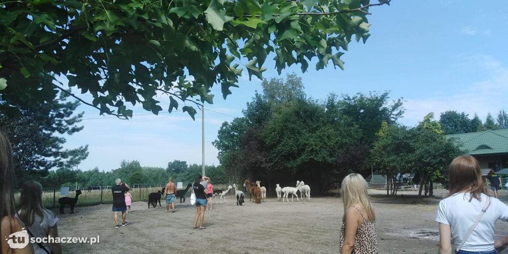 Lokalnie jest fajnie! W gminie Brochów FOTORELACJA