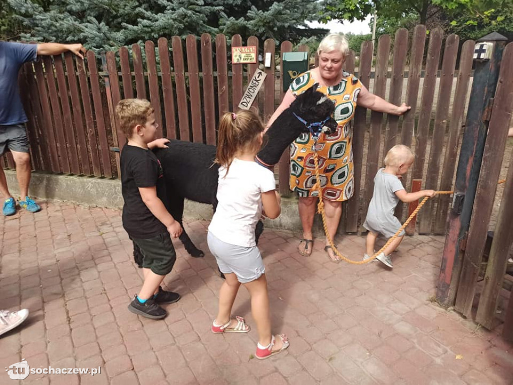 Lokalnie jest fajnie! W gminie Brochów FOTORELACJA