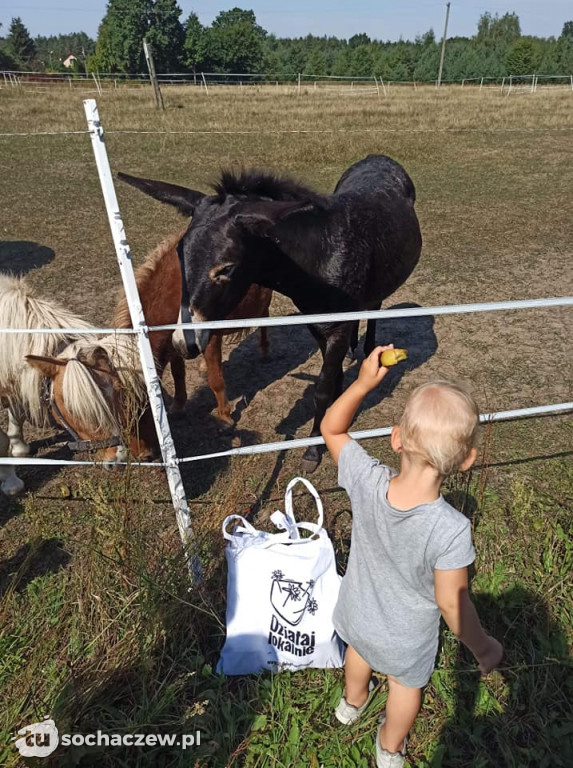 Lokalnie jest fajnie! W gminie Brochów FOTORELACJA
