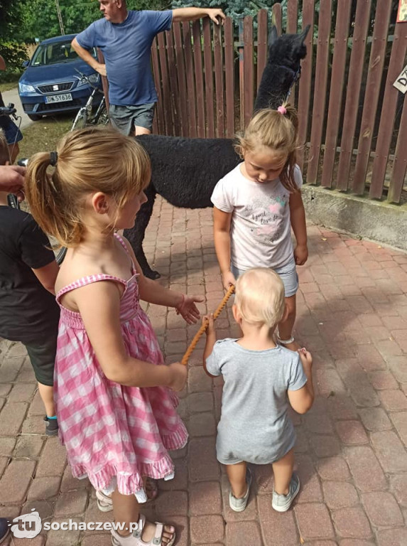 Lokalnie jest fajnie! W gminie Brochów FOTORELACJA