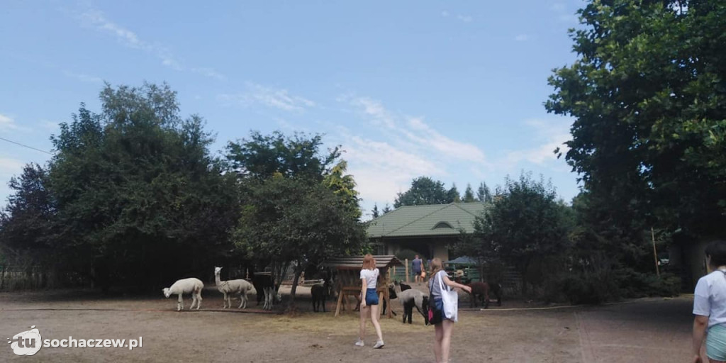 Lokalnie jest fajnie! W gminie Brochów FOTORELACJA