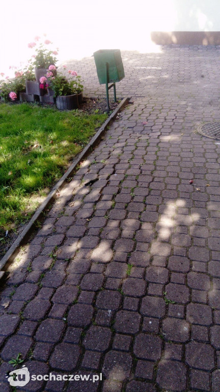 Proste ścieżki do Ogrodnika