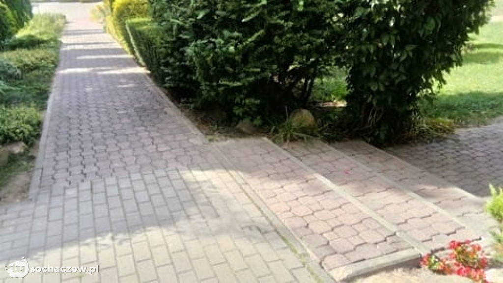 Proste ścieżki do Ogrodnika