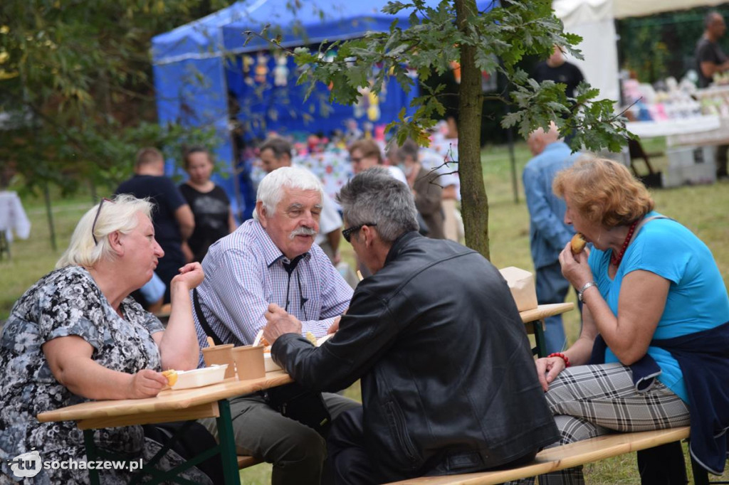 V Festiwal Powideł Olenderskich Olenderfest 2020