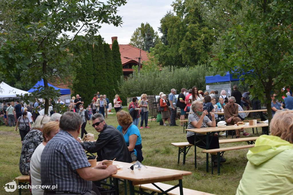V Festiwal Powideł Olenderskich Olenderfest 2020