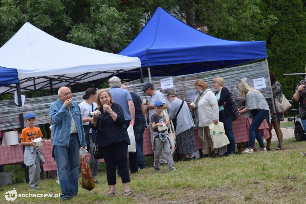V Festiwal Powideł Olenderskich Olenderfest 2020