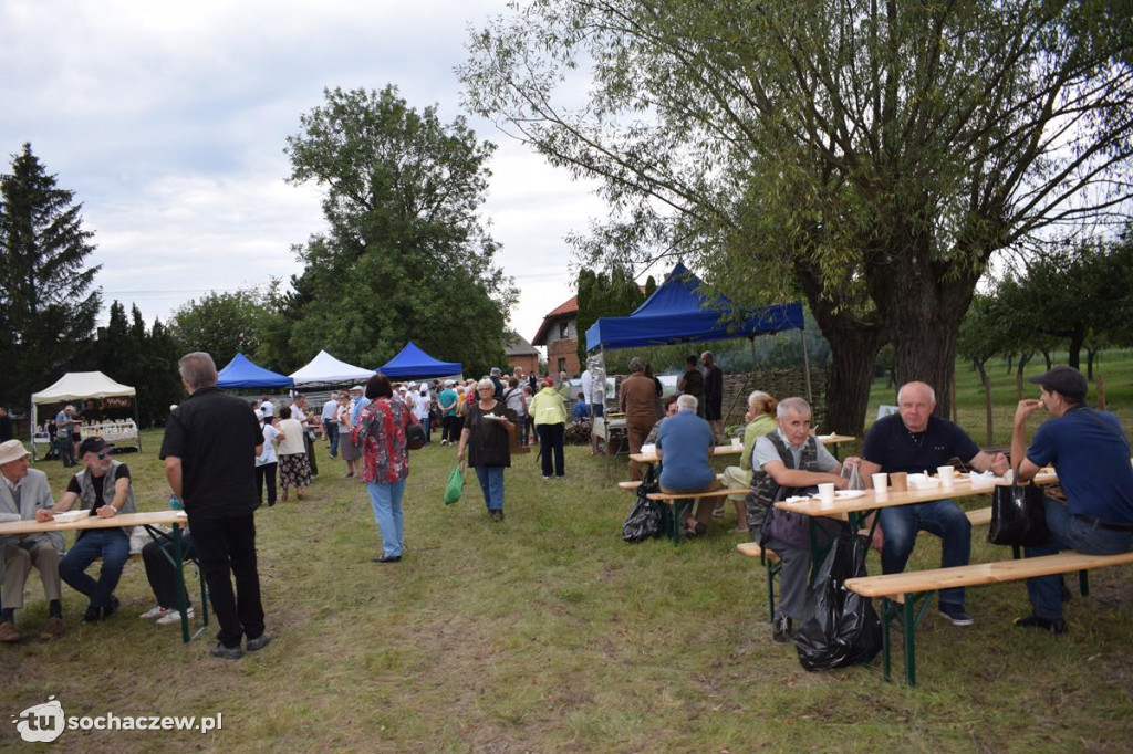 V Festiwal Powideł Olenderskich Olenderfest 2020