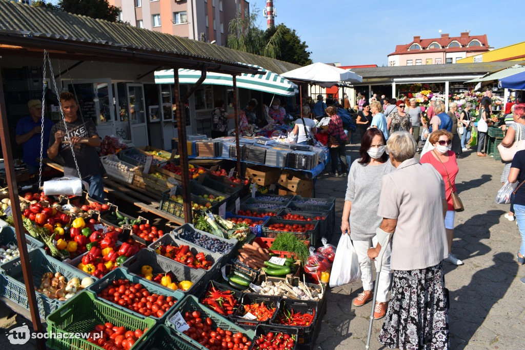 Targ w Sochaczewie: królują jabłka i śliwki.