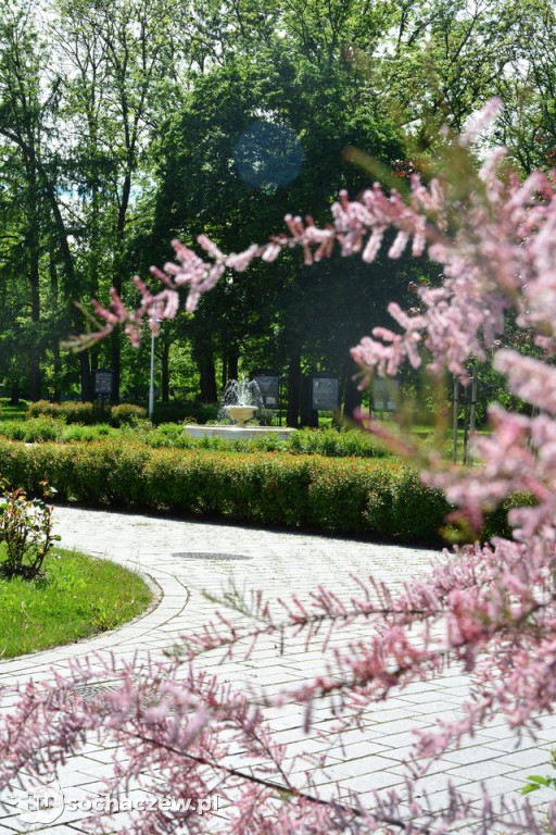 Sanniki: wstęp na festiwal będzie wolny