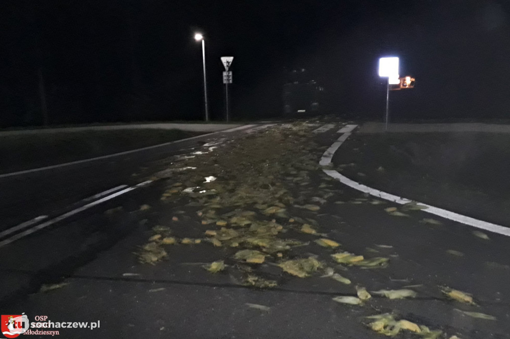 Kukurydza zablokowała DK 50