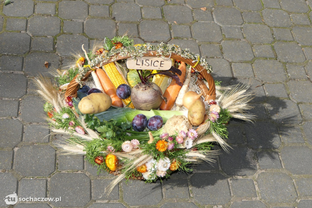 Dożynki w Pawłowicach