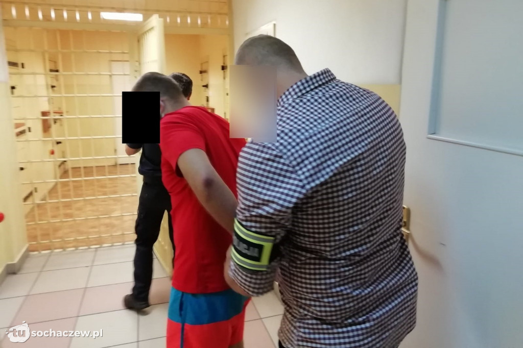 Zlikwidowana uprawa konopii