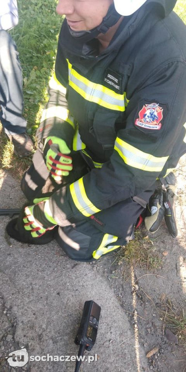 OSP Szymanów: wąż w sklepie i pies w bramie
