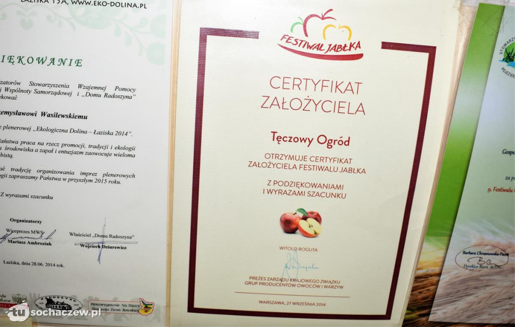 Zbiory jabłek 2020. Zaglądamy do sadu Przemysława Wasilewskiego