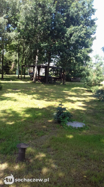Najładniejsze ogrody z gminy Rybno nagrodzone