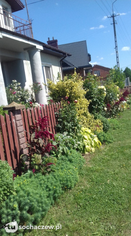 Najładniejsze ogrody z gminy Rybno nagrodzone