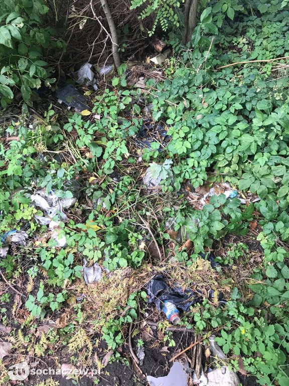 Park Garbolewskiego dwa kroki dalej