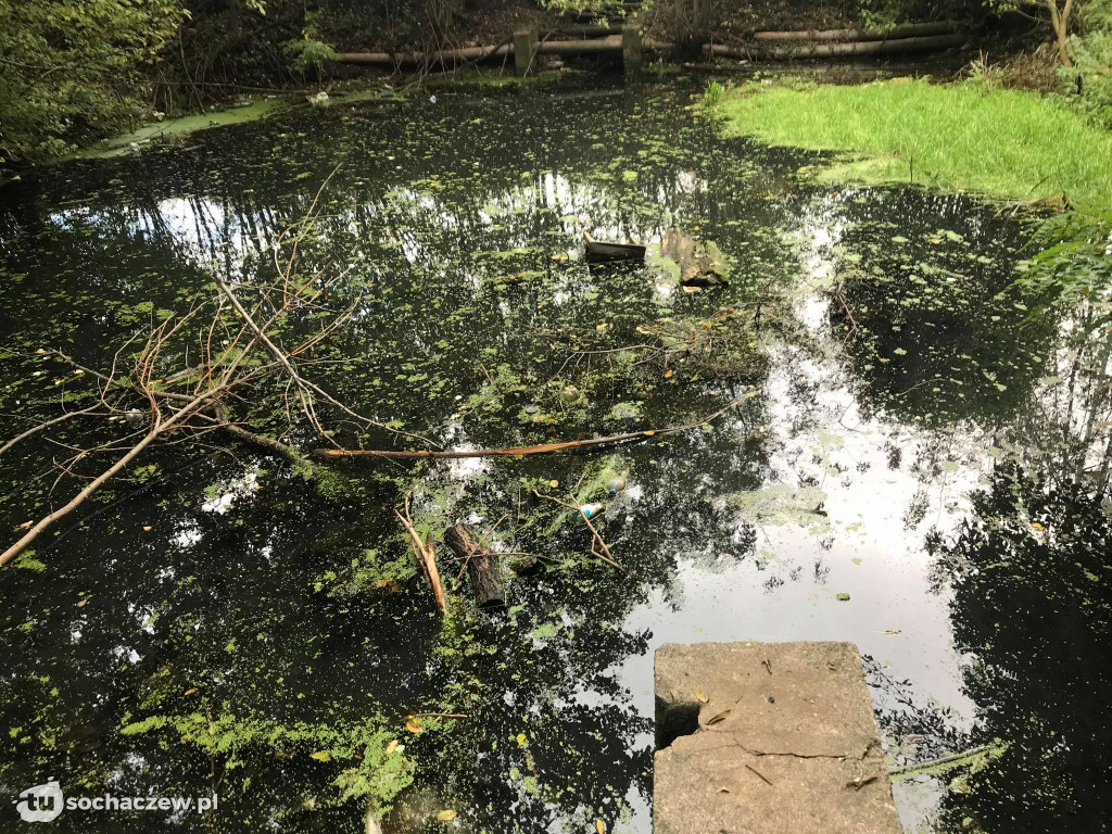 Park Garbolewskiego dwa kroki dalej