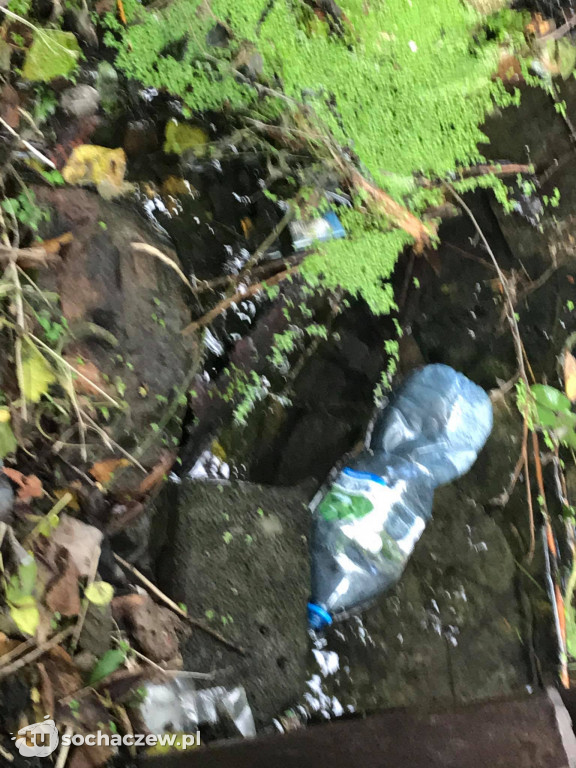 Park Garbolewskiego dwa kroki dalej