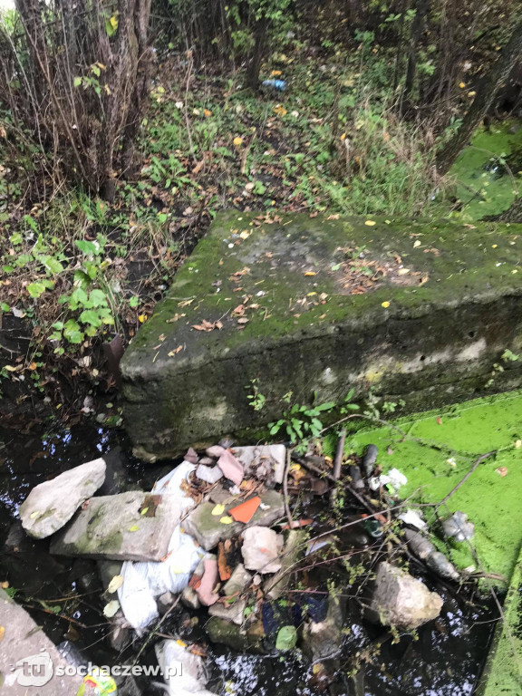 Park Garbolewskiego dwa kroki dalej