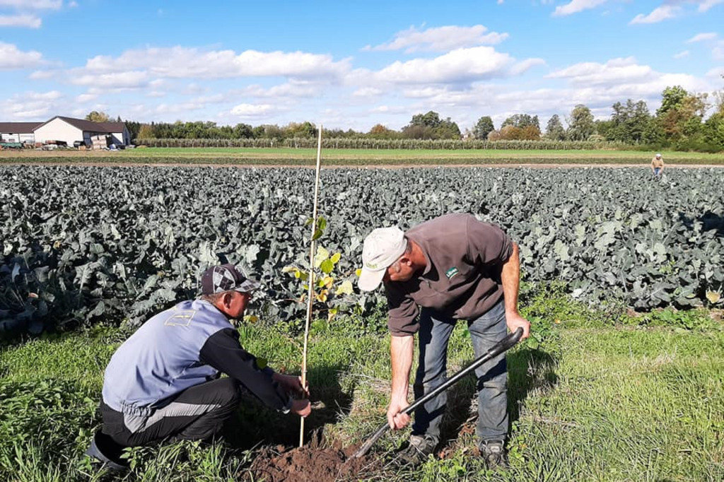 Pierwsza akcja sadzenia drzew w gminie Rybno