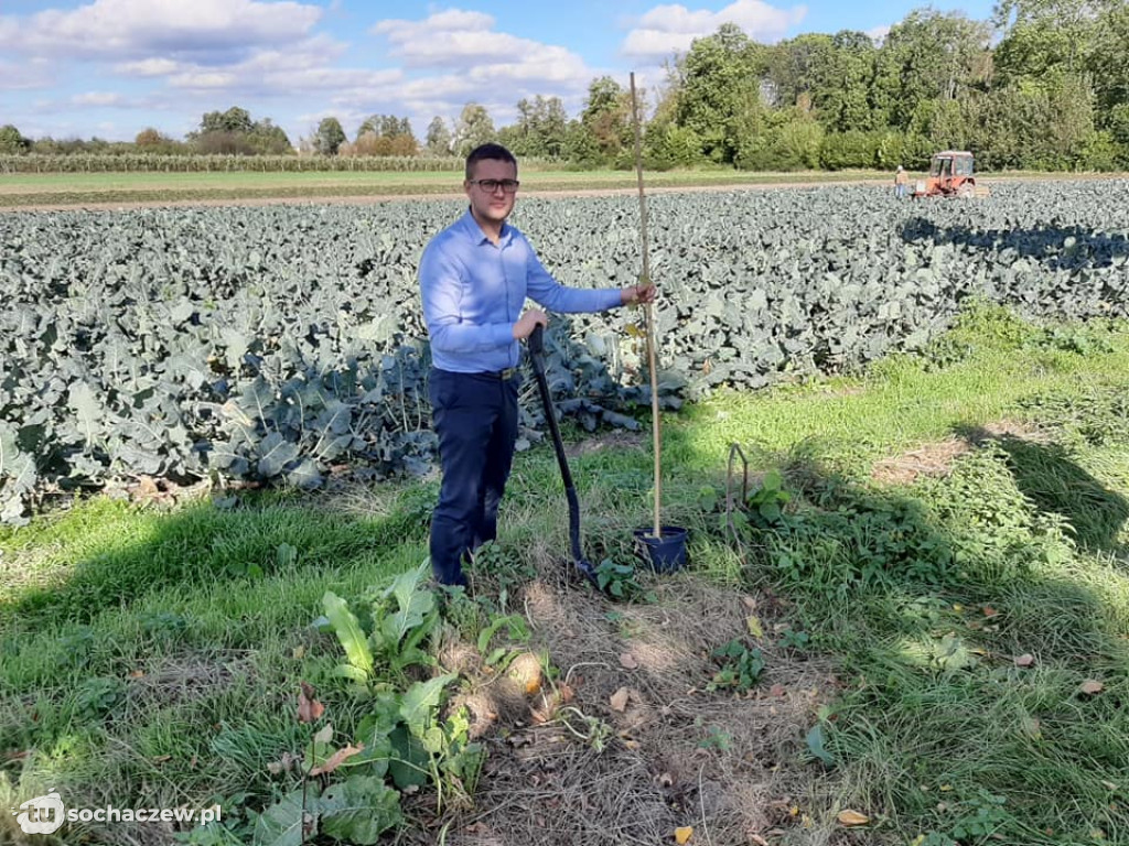 Pierwsza akcja sadzenia drzew w gminie Rybno