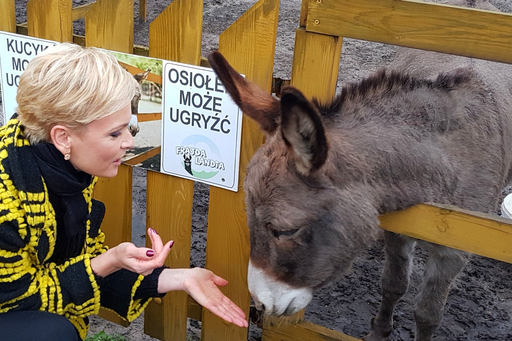 Zwierzęta z Frajdalandii gwiazdami Pytania na śniadanie
